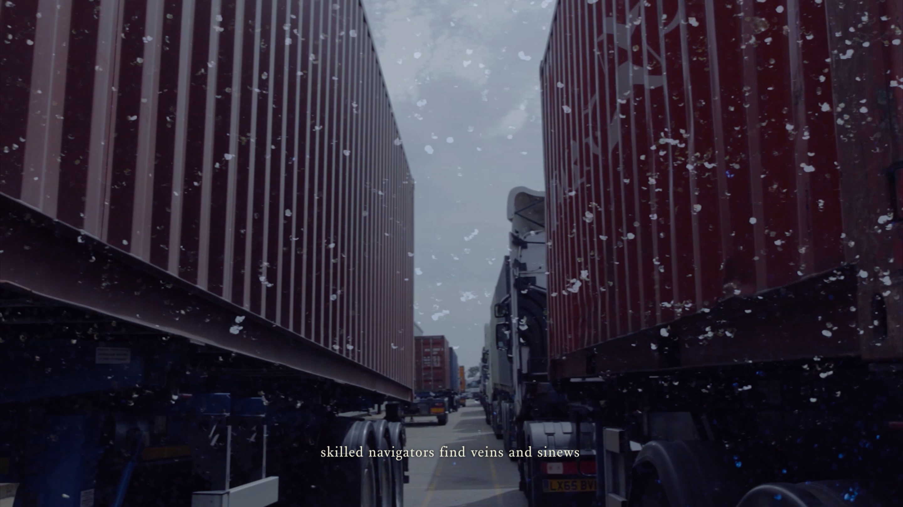 AAA Cargo e
