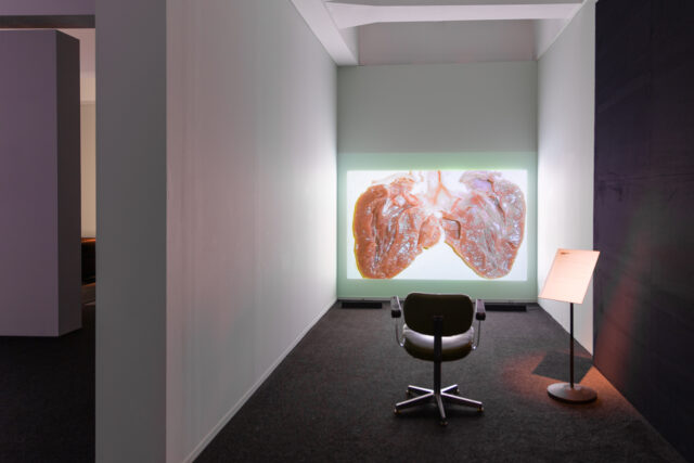 VG-Bildkunst beachten!
Laure Prouvost, „Monolog“, 2019

In der Ausstellung „25 von 78 – Internationale Medienkunst aus der Reihe HMKV Video des Monats“
02. Juni 2020 - 20. September 2020. Foto: Mark Ansorg © Laure Prouvost/VG-Bildkunst, 2020