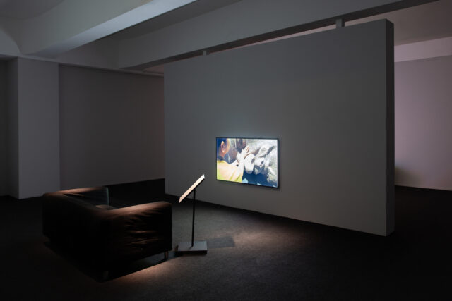 VG-Bildkunst beachten!
Fabian Bechtle, „Encounter“, 2017

In der Ausstellung „25 von 78 – Internationale Medienkunst aus der Reihe HMKV Video des Monats“
02. Juni 2020 - 20. September 2020. Foto: Mark Ansorg © Bechtle/VG-Bildkunst, 2020