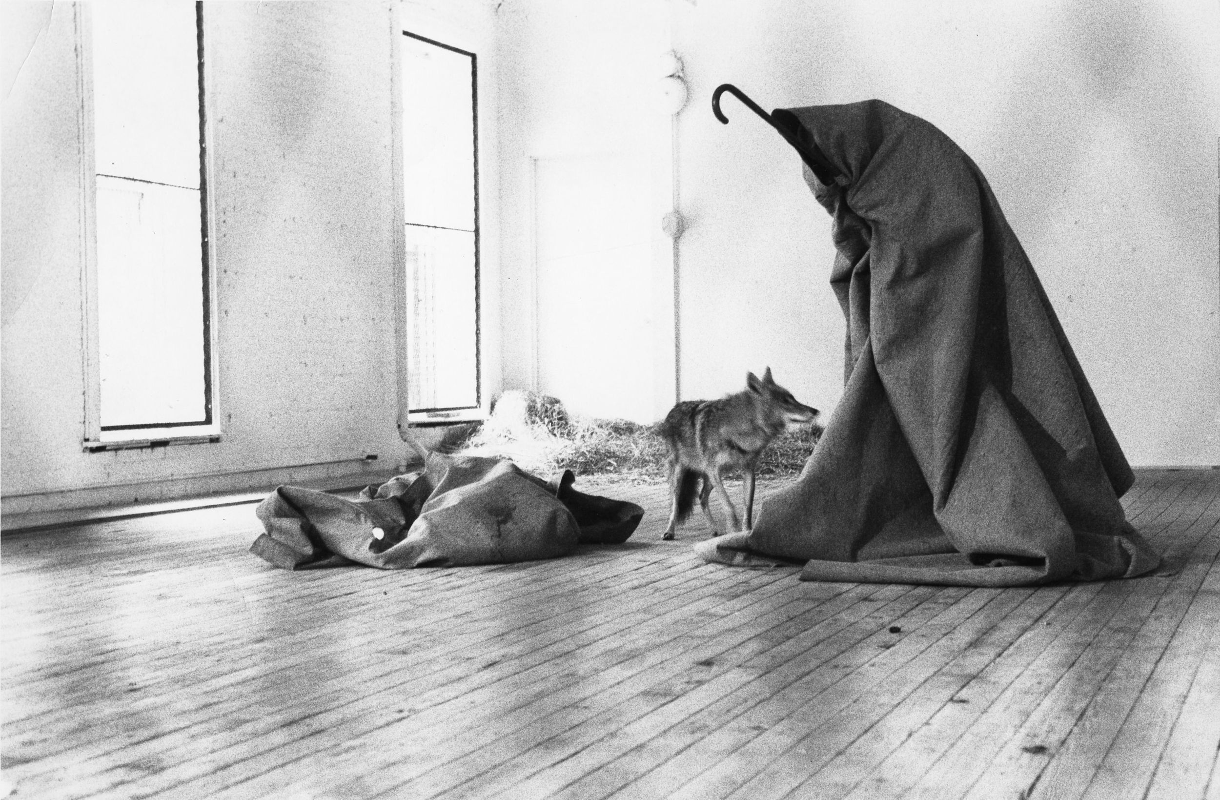 Beuys I Like America 1974 RB Archiv Block 3