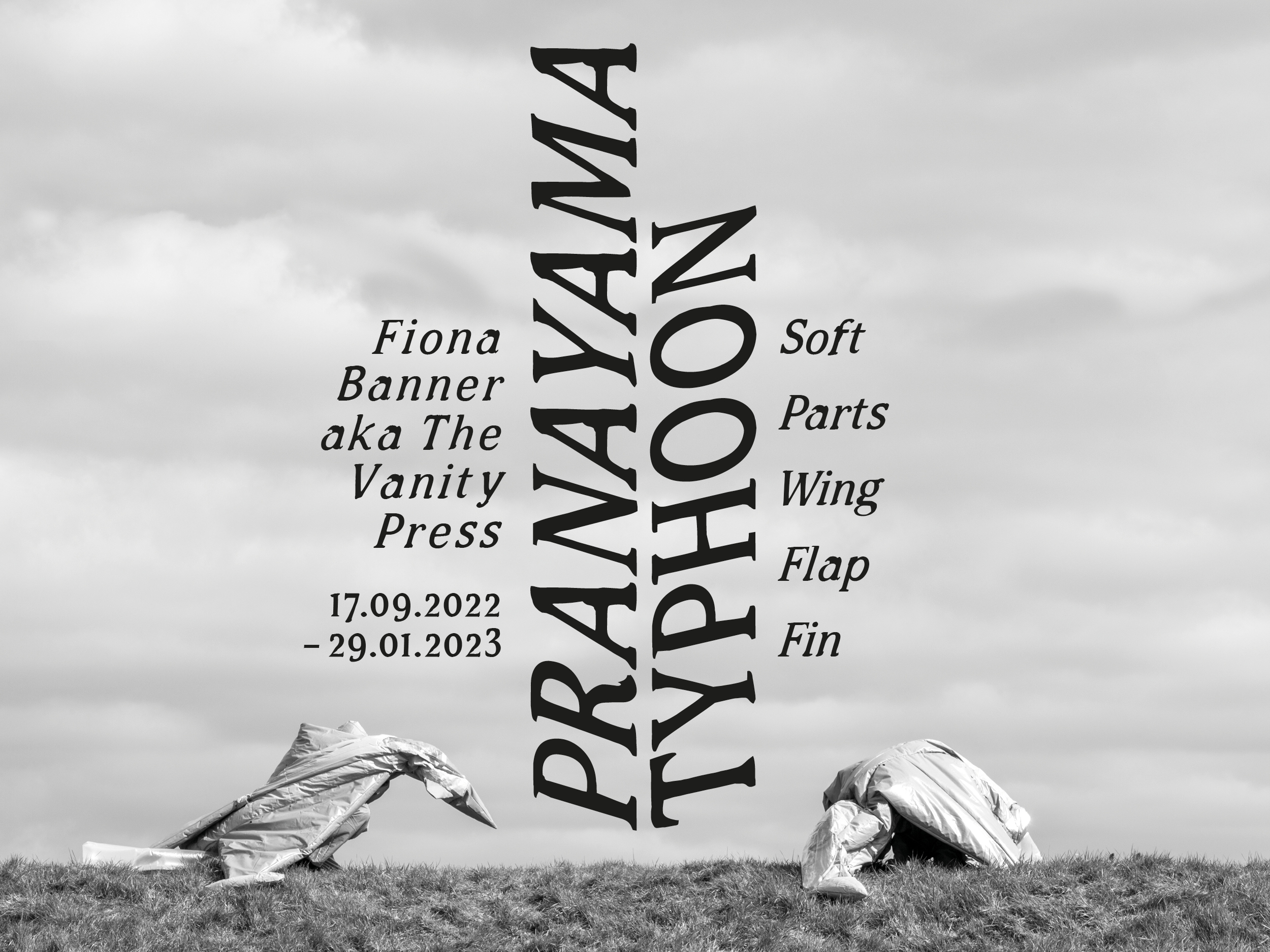 Fiona Banner aka The Vanity Press: Pranayama Typhoon Soft Parts Wing Flap Fin