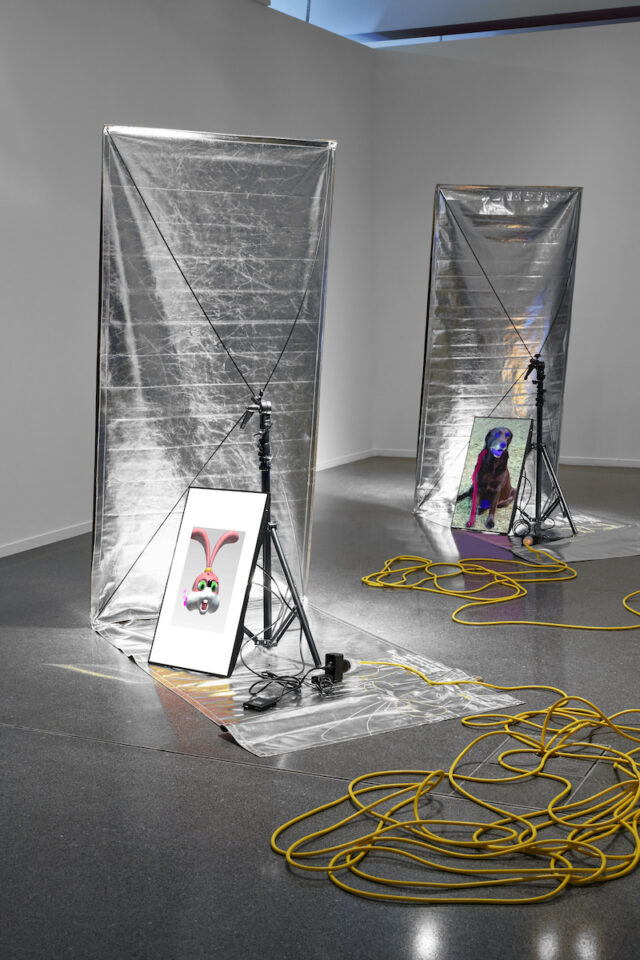 House of Mirrors: Artificial Intelligence as Phantasm